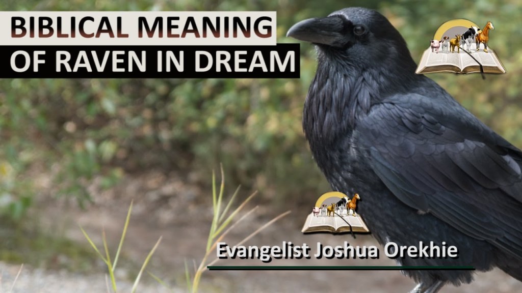 Picture of: Biblical Meaning of RAVEN in Dream I Dream About Raven (Crows)