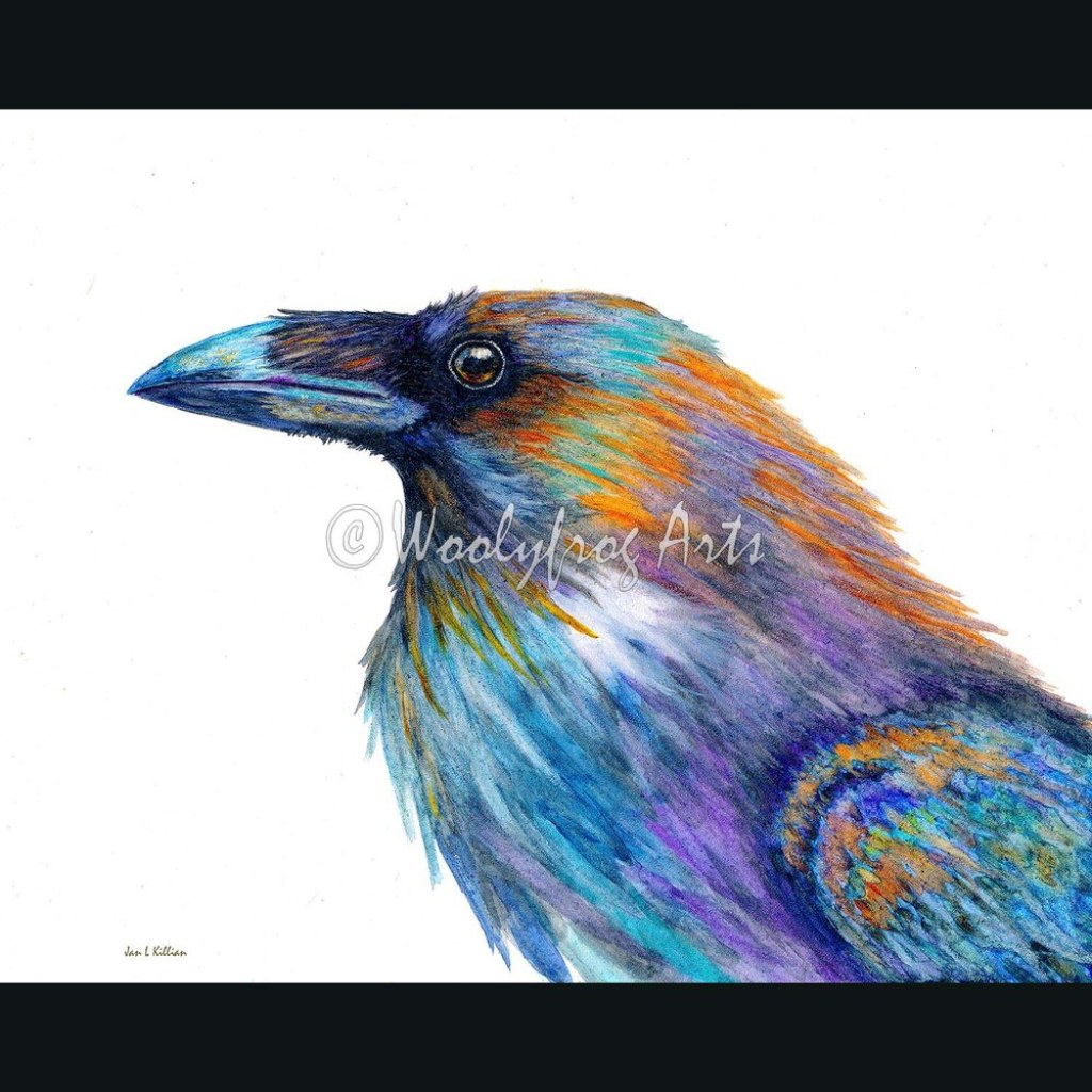 Picture of: Colorful Raven — Woolyfrog Arts