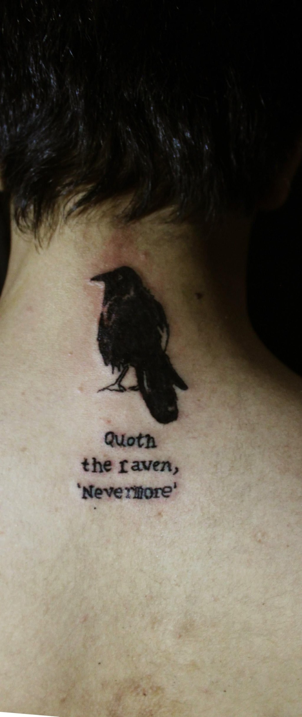 Picture of: Qoth the Raven, Nevermore