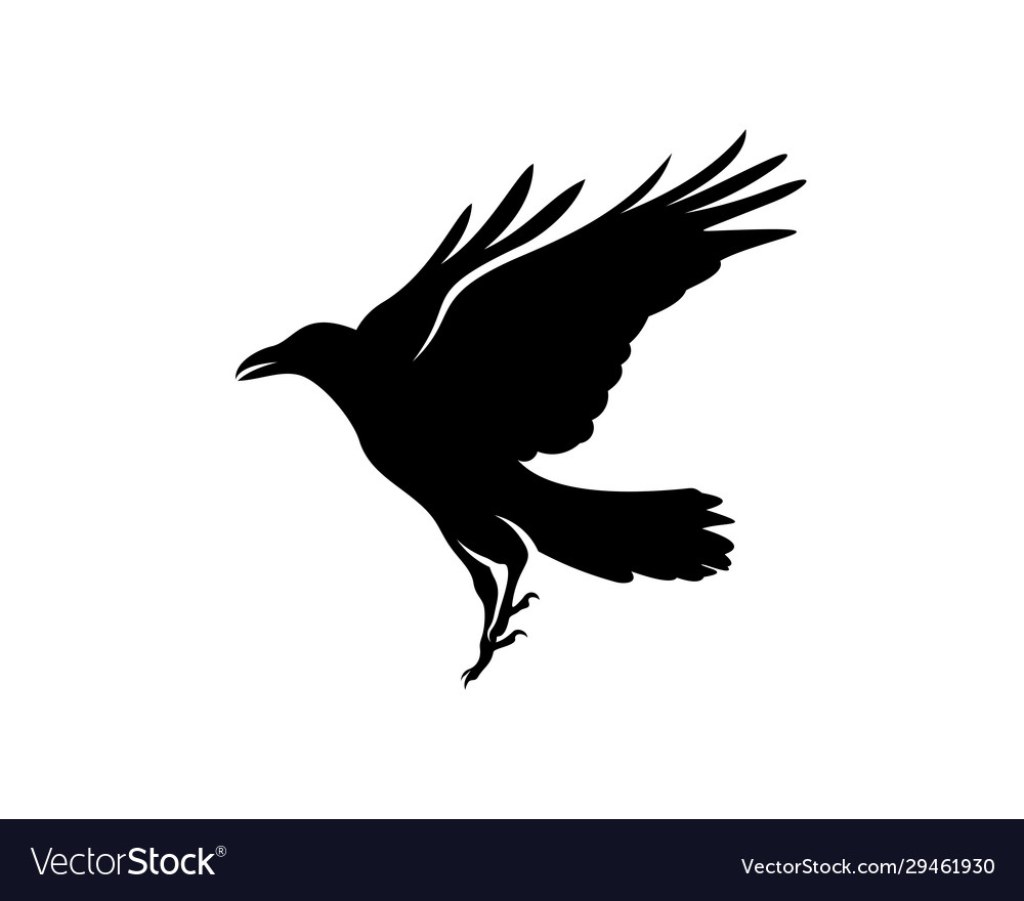 Picture of: Raven bird logo template black silhouette Vector Image