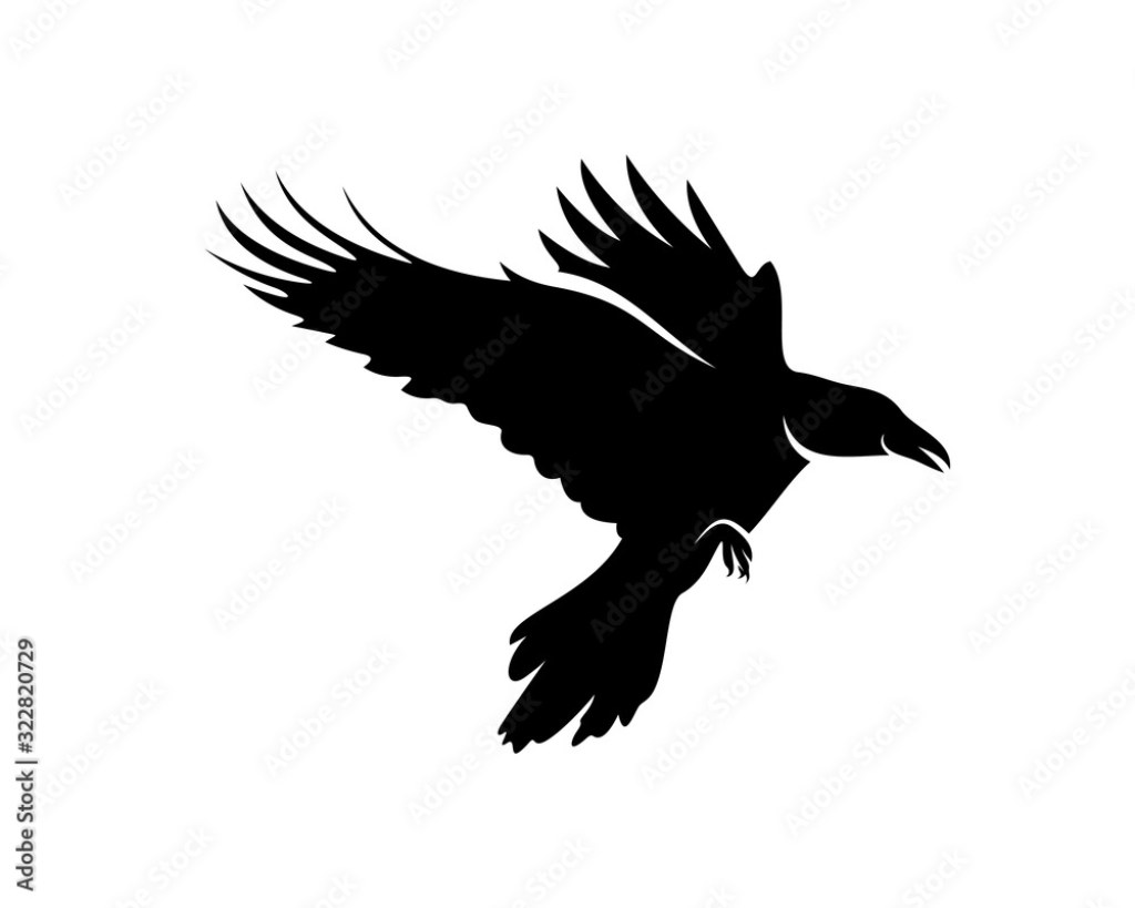 Picture of: Raven bird logo vector template, Black silhouette of a crow on an