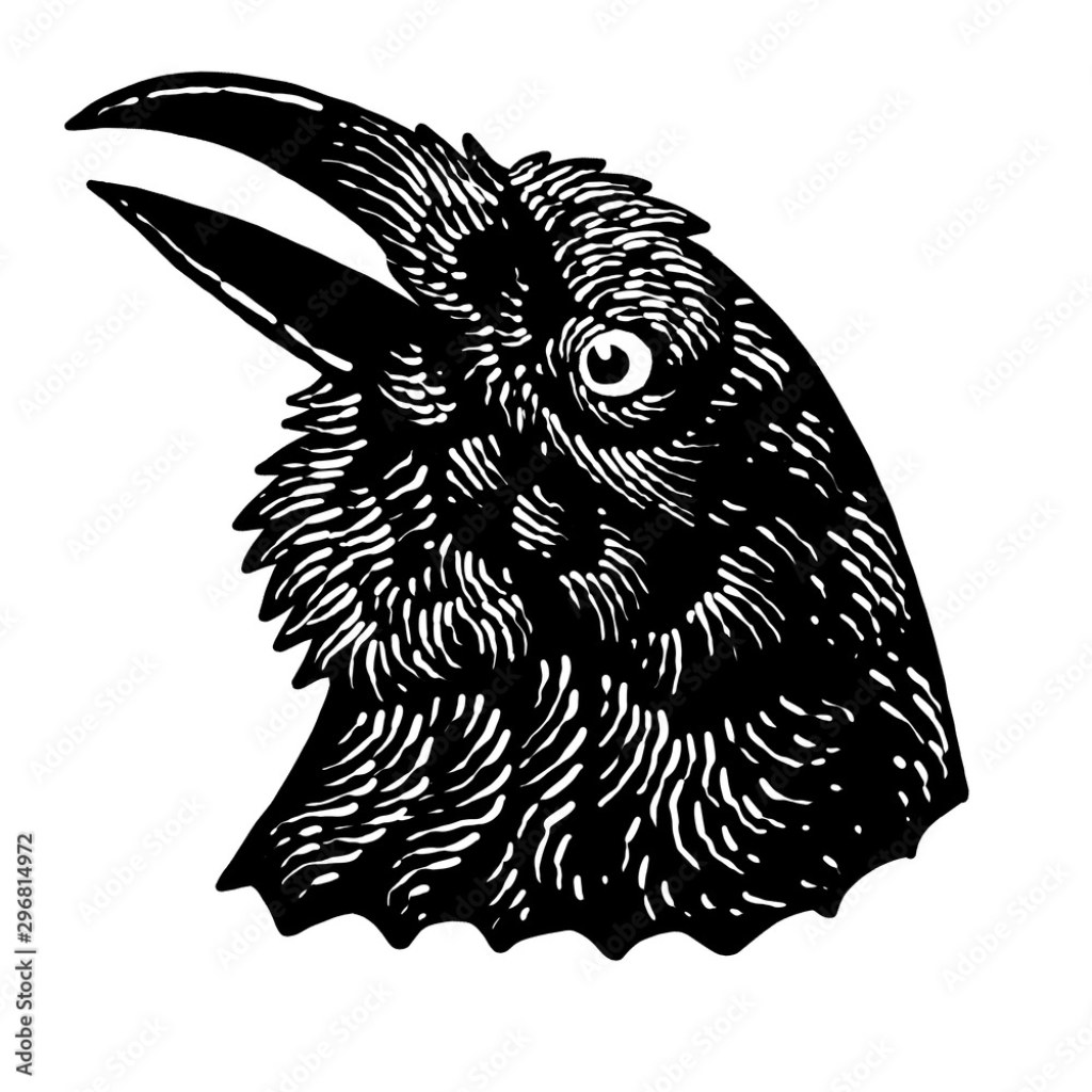 Picture of: Raven design art illustration Stock-Illustration  Adobe Stock