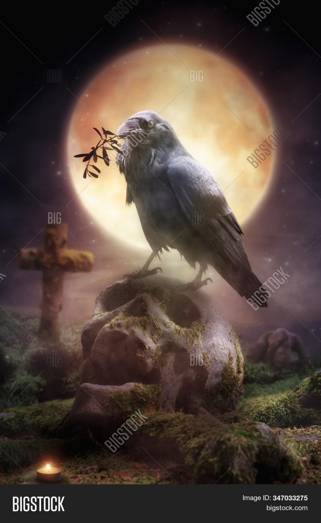 Picture of: Raven On Grave ( Image & Photo (Free Trial)  Bigstock