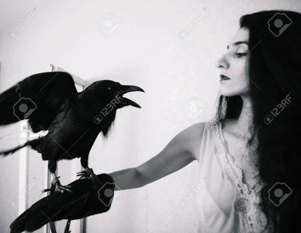 Picture of: Young Woman With Raven Stock Photo, Picture And Royalty Free Image